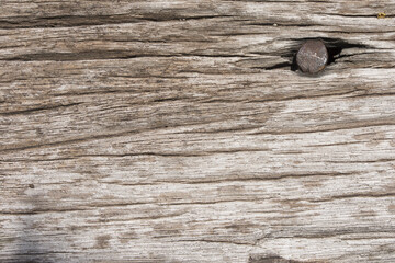 close up old wood texture