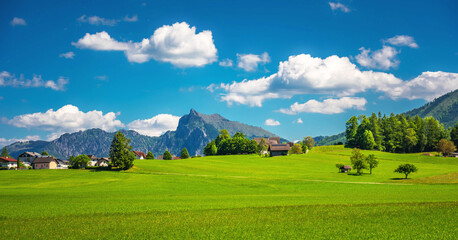Fototapeta premium Landschaftspanorama mit grüner Wiese und den Traunstein im Hintergrund, Salzburg, Österreich
