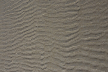 Fototapeta na wymiar Sand background at Cape Cod, USA