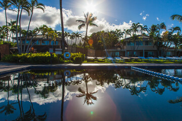 Reflections on a pool in hawaii