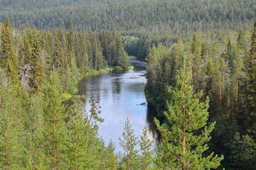 View from the hill on river and wild forest. Northern Finland. - 157426077