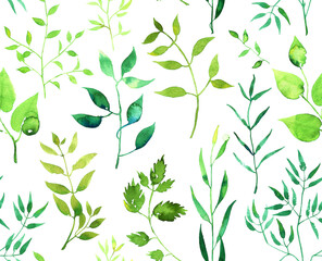 Fototapety  Akwarela wzór z zielonych gałęzi i liści na białym tle. Ręcznie malowane ilustracja.
