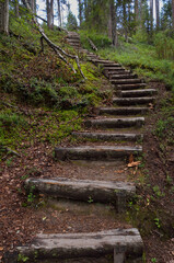 Wooden stairs as a part of hiking trail in the forest. - 157426898