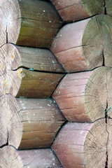 Texture of a log wall