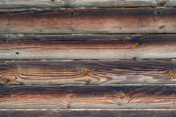 Texture of a log wall
