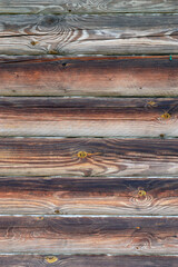 Texture of a log wall