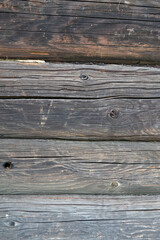 Texture of a log wall