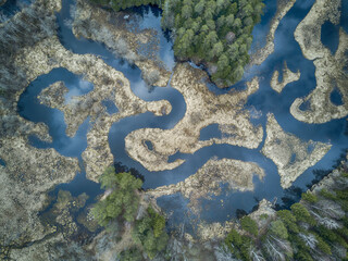 Aerial view of a winding river and mixed tree forest. 
