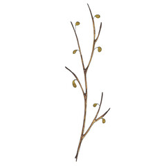 Hand painted with markers brown tree branch