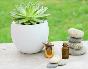 huile essentielle,plante et galets,détente
