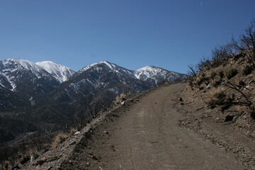 Beyond the Burn Zone