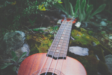 Ukulele guitar at the mountain nature pine forest landscape. Photo depicts musical instrument Ukulele small guitar in outdoor natural green background. Strings close up. Macro view.