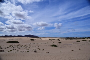 Die Sanddünen von  Fuerteventura von den Kanarischen Inseln