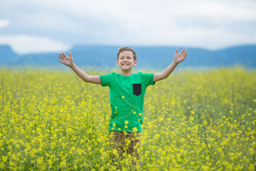 Naklejka na ściany i meble Happy cute handsome little kid boy on green grass lawn with blooming yellow dandelion flowers on sunny spring or summer day. Little boy dreaming and relaxing collecting a bouquet