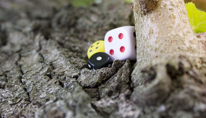 game cubes on the tree