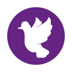 Dove bird symbol icon vector illustration graphic design