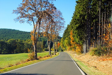 Fototapeta premium Strasse am Waldrand in der Nähe von Allenbach südlich des Idarwaldes in Rheinland-Pfalz 