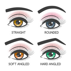 Popular female eyebrows shape set on white backdrop. Vector illustration