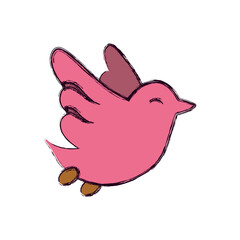 Dove bird symbol icon vector illustration graphic design