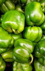 Obraz na płótnie Canvas Pack of Green Peppers
