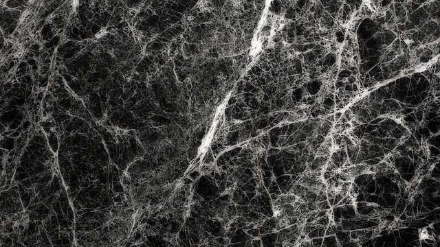 Neural Tissue - Abstract Illustration