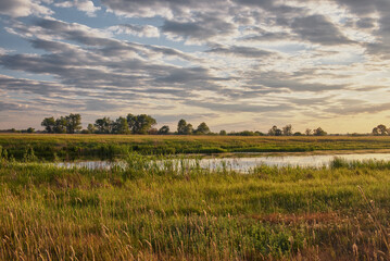 Fototapeta na wymiar Landscape with green grass and river with beautiful clouds in the background at sunset