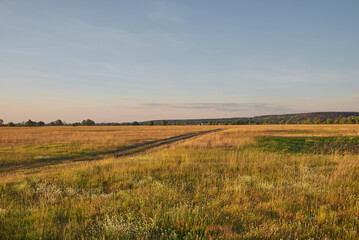 Landscape with green and yellow grass, road and blue sky in the background at sunset