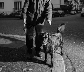 Man with spaniel dog on city street at dusk - black and white