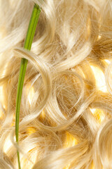 feuille verte dans de beaux cheveux blonds  - obrazy, fototapety, plakaty