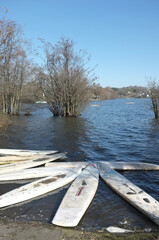 planches de voile