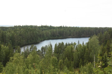 Лесное озеро.