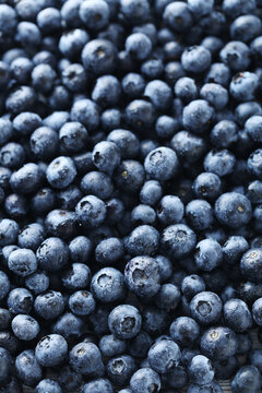 Ripe and tasty blueberries background