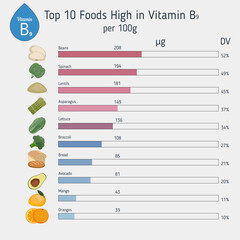 Vitamin B9 or folic acid infographic