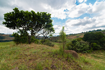 Obraz premium Hiking trail at Monks Cowl in the Drakensberg near Cathkin Peak