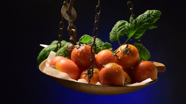 Solanum lycopersicum Pomodoro camone Rajčica Tomate &Tau;&omicron;&mu;ά&tau;&alpha; Tomaatti Paradižnik طماطم Tomato עגבנייה 番茄 C&agrave; chua Томат Pomidor Pummarola zwyczajny video Pomodori Domatja 