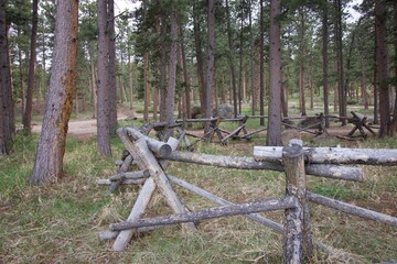 forest fence