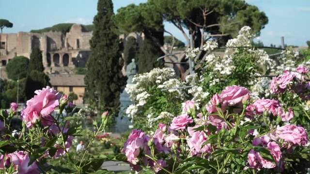 The municipal Rose Garden is a public garden