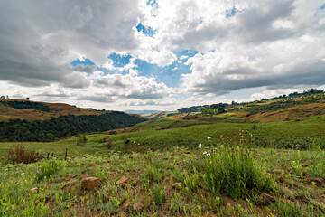 Hiking trail at Monks Cowl in the Drakensberg near Cathkin Peak