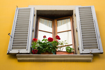 Window. Italy. 