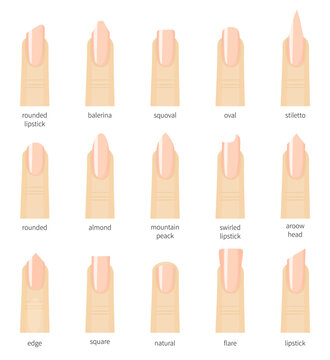 Different fashion nail shapes. Set kinds of nails. Salon nails type trends.