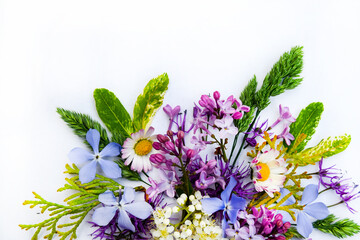 Colorful spring flowers isolated on white background.