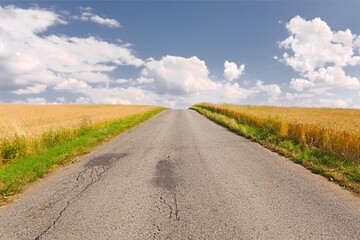 Road through farmlands