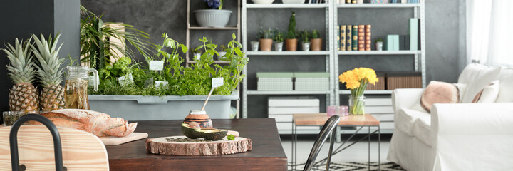 Cozy studio apartment