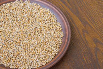Wheat grains on the ceramic plate. top view