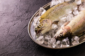 Seafood. Two raw rainbow trouts marinated with lime, rosemary