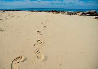 Footprints in the Sand