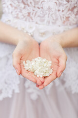 Tender white petals of blossom in Bride's hands on background of her dress. Concept of spring coming and tenderness