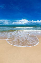  beach and tropical sea