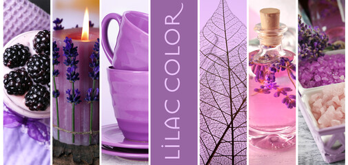 Trendy concept. Set with lilac color