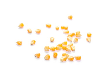 yellow grain corn isolated on white background, for popcorn